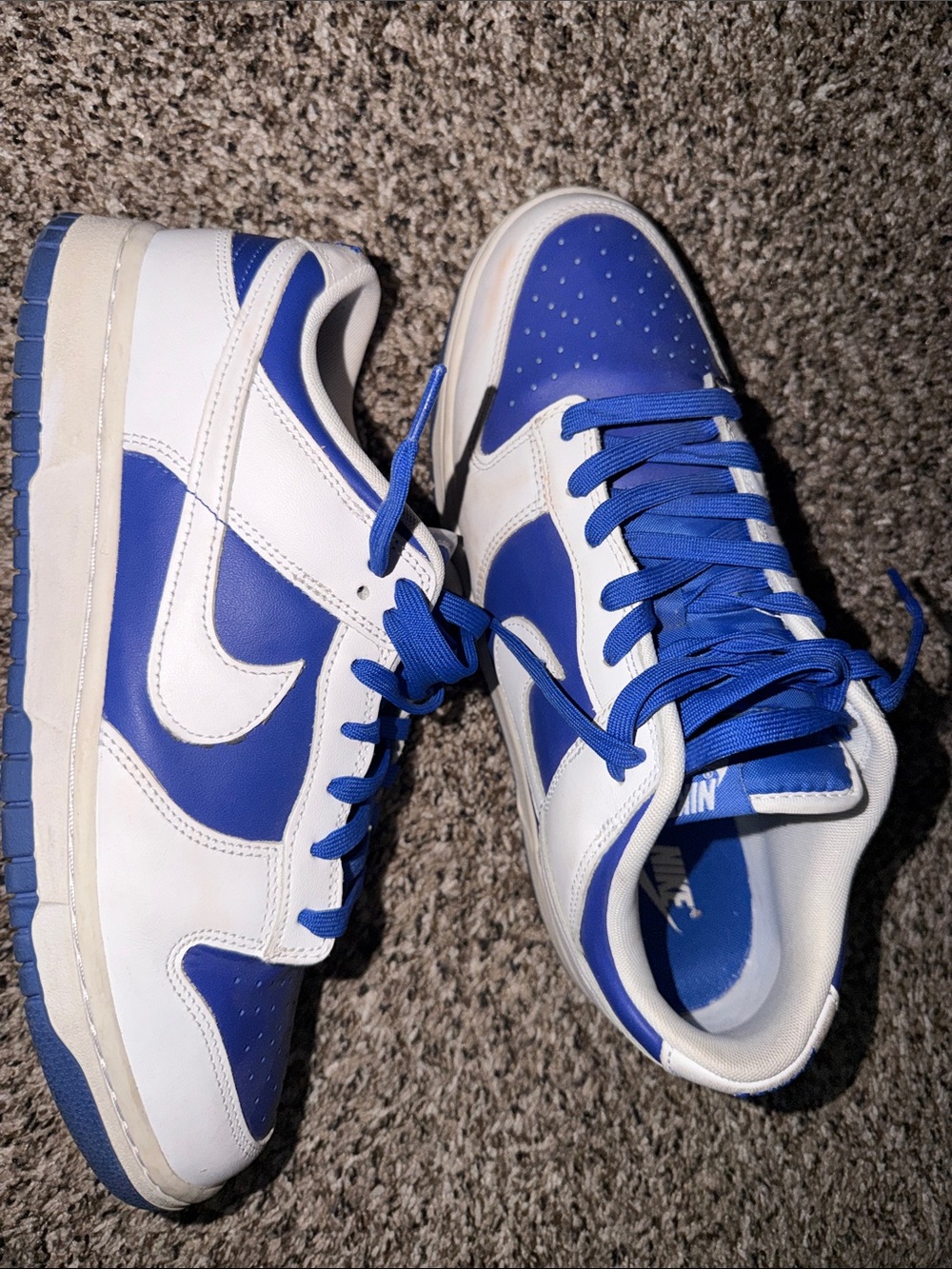 Nike Dunks Low-Top Sneakers in White and Blue